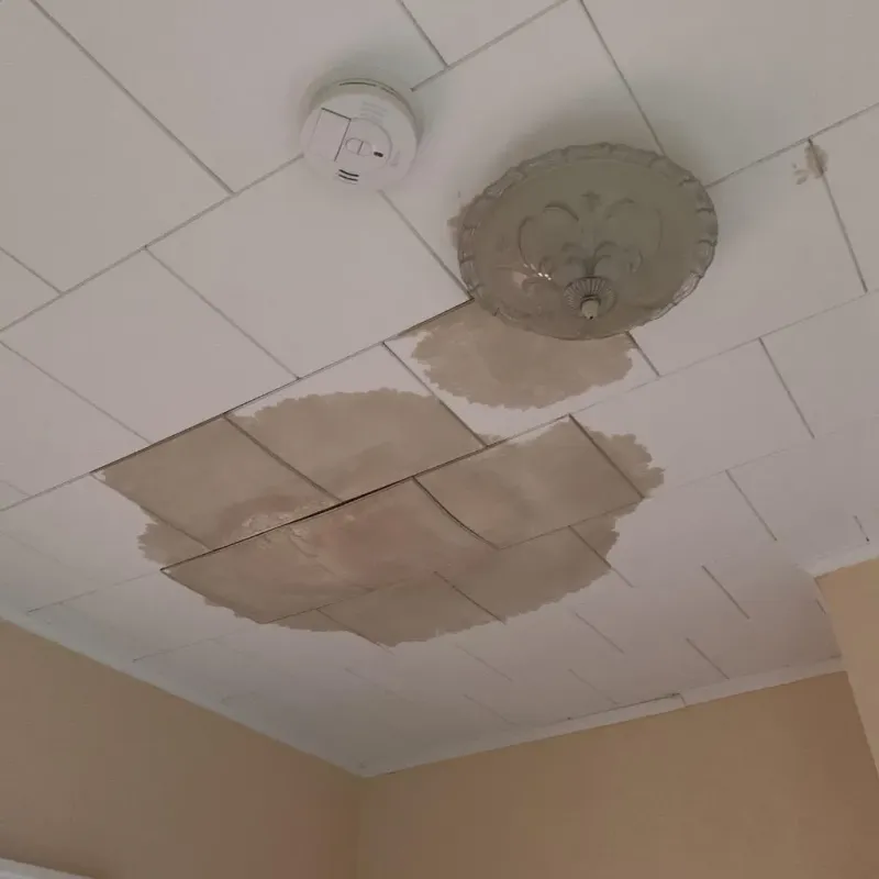 Ceiling Water Damage Repair in Old Forge, PA