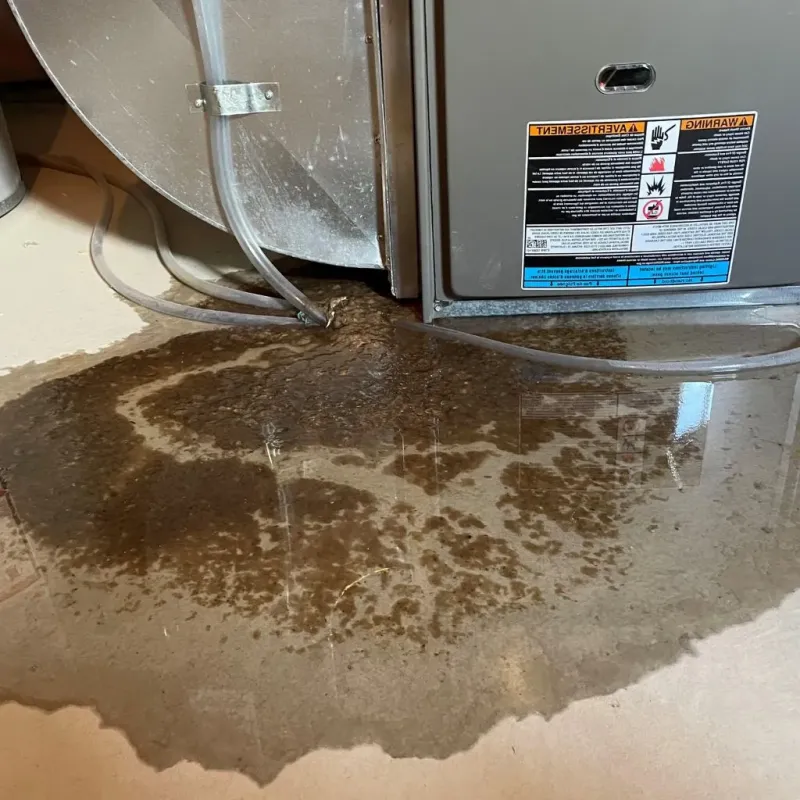 Pipe Burst and Leak Restoration in Old Forge, PA