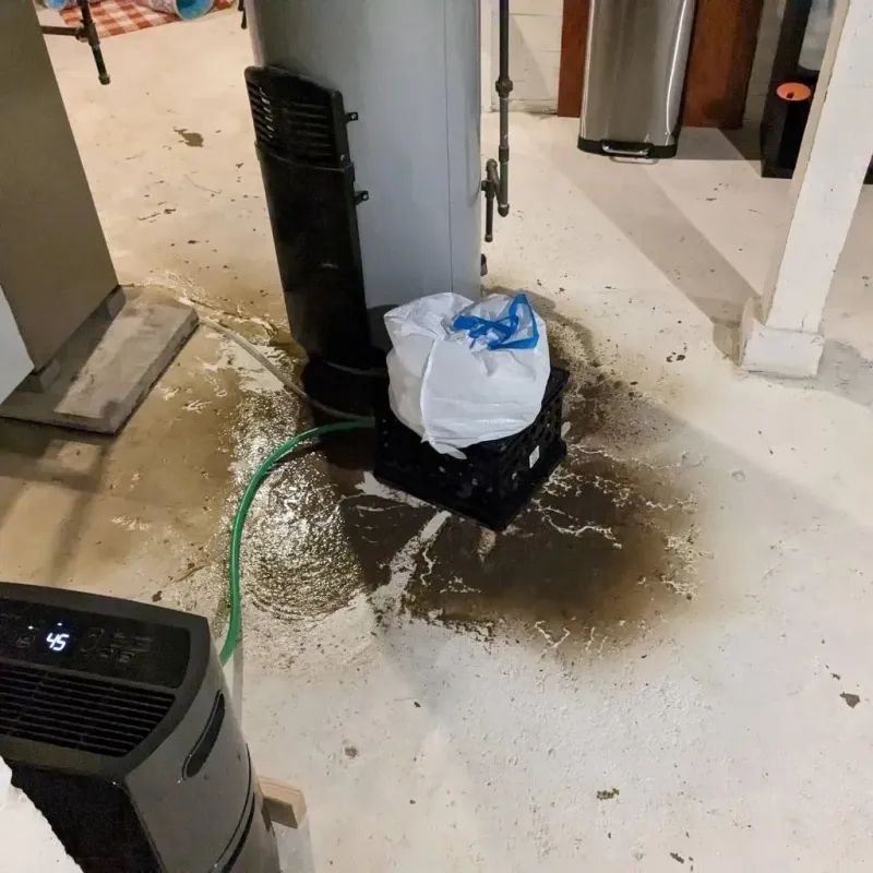 Sewage Backup Cleanup Service in Old Forge, PA